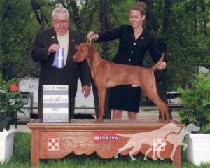 Jnek's Chairman Of The Board