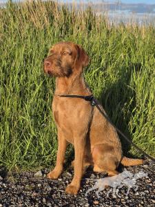 Ares von Calveslage