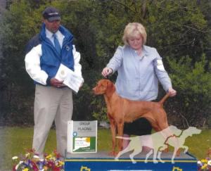 Russet Leather Water Lily