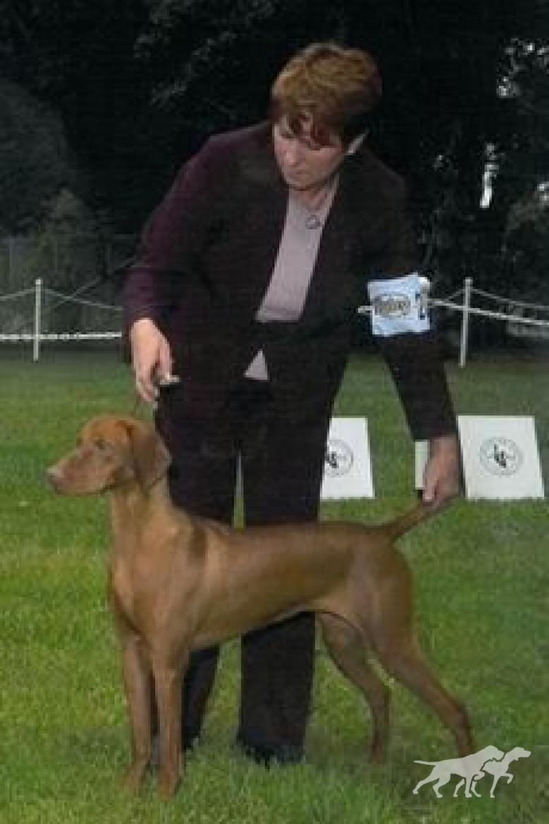 Russet Leather's Lucky Lola