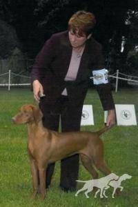 Russet Leather's Lucky Lola
