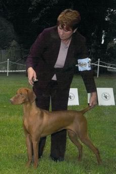 Russet Leather's Lucky Lola