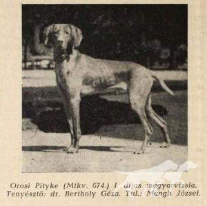 Orosi Pityke IV
