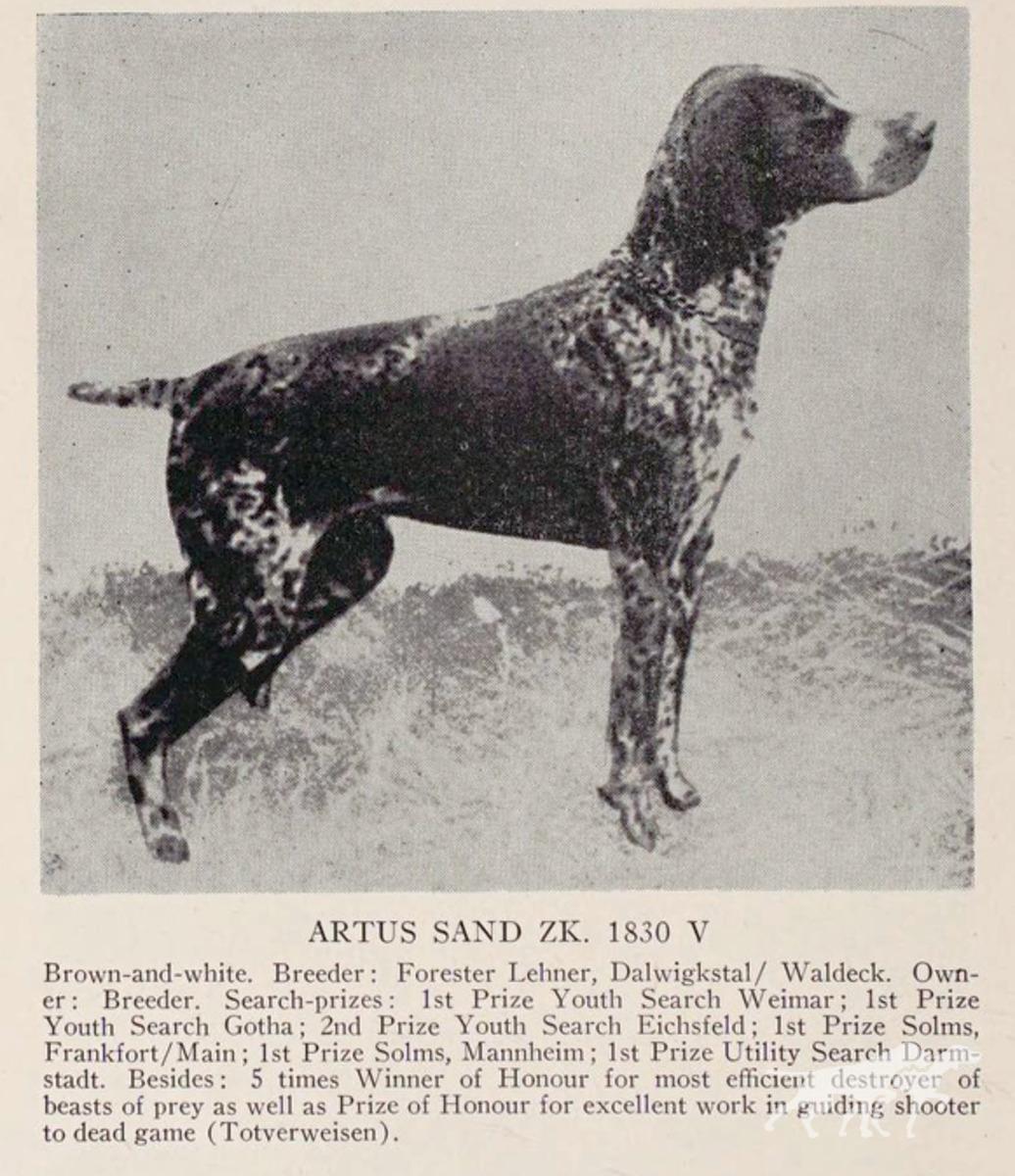 Artus Sand (DK)