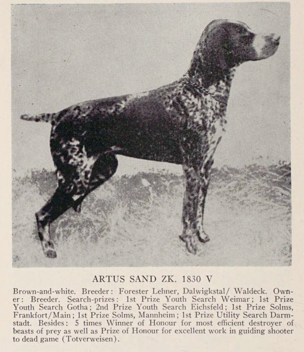 Artus Sand (DK)
