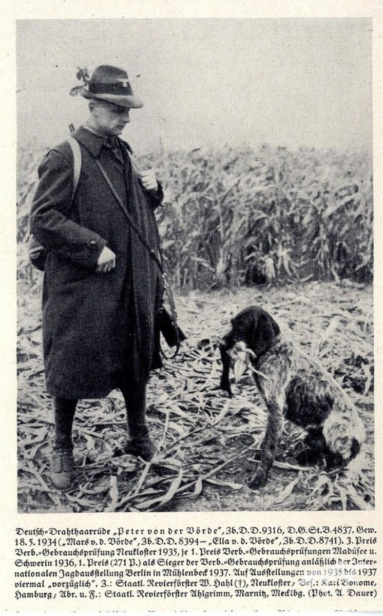 Peter von der Vörde (DD)