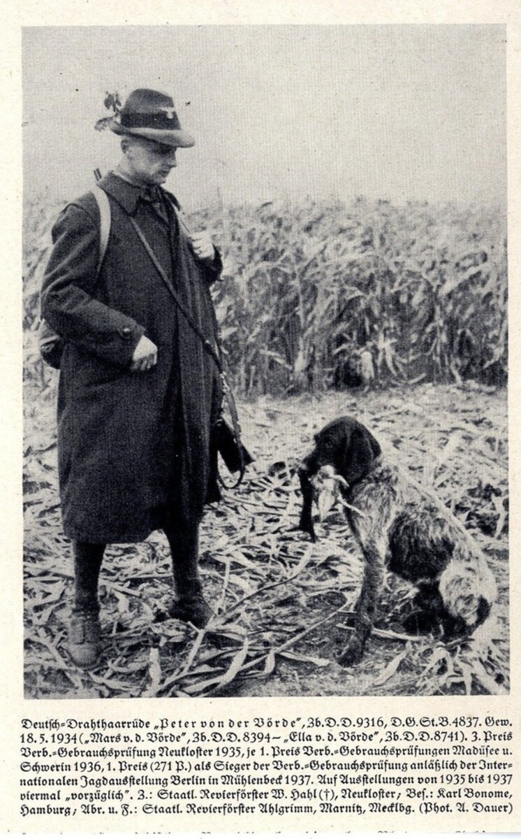 Peter von der Vörde (DD)