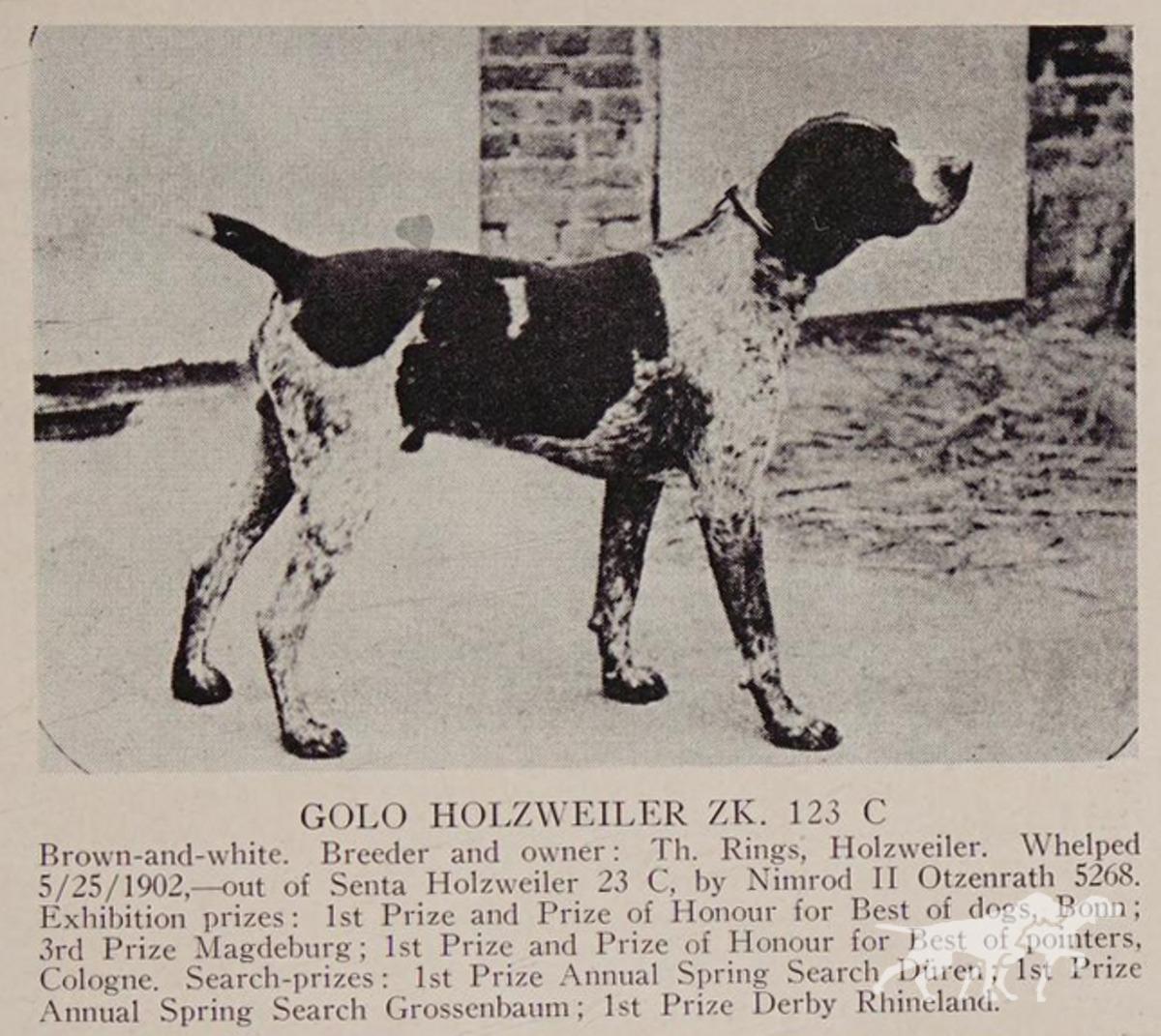 Golo Holzweiler (DK) *