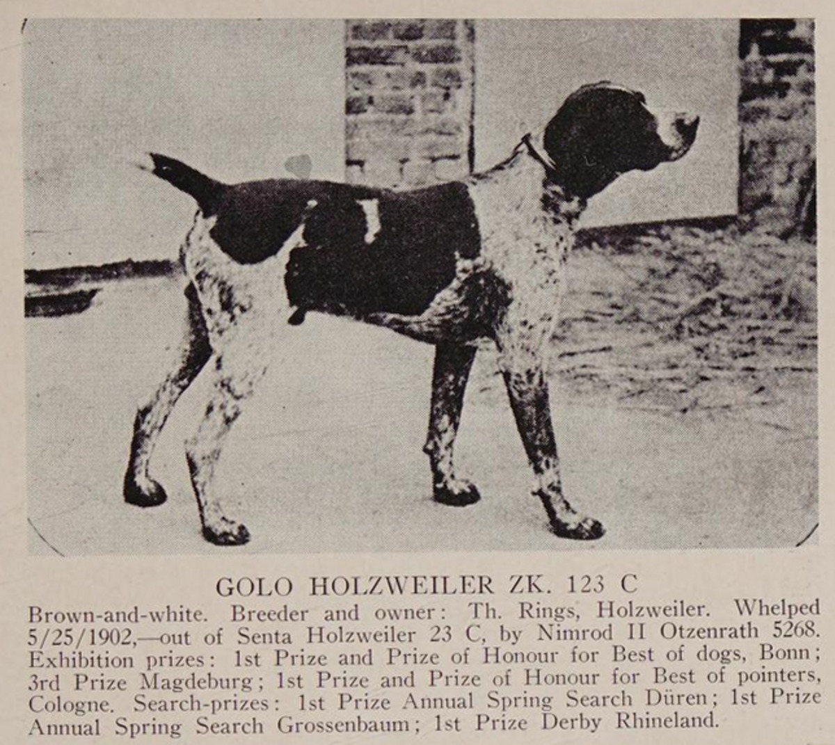 Golo Holzweiler (DK) *