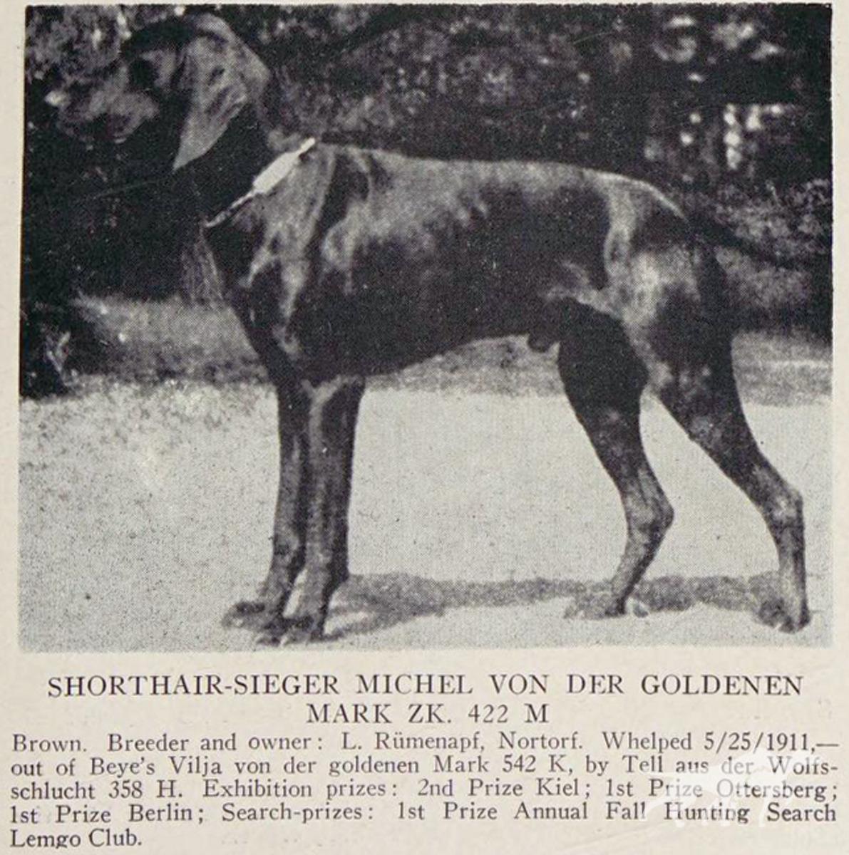 Michel von der Goldenen Mark (DK)