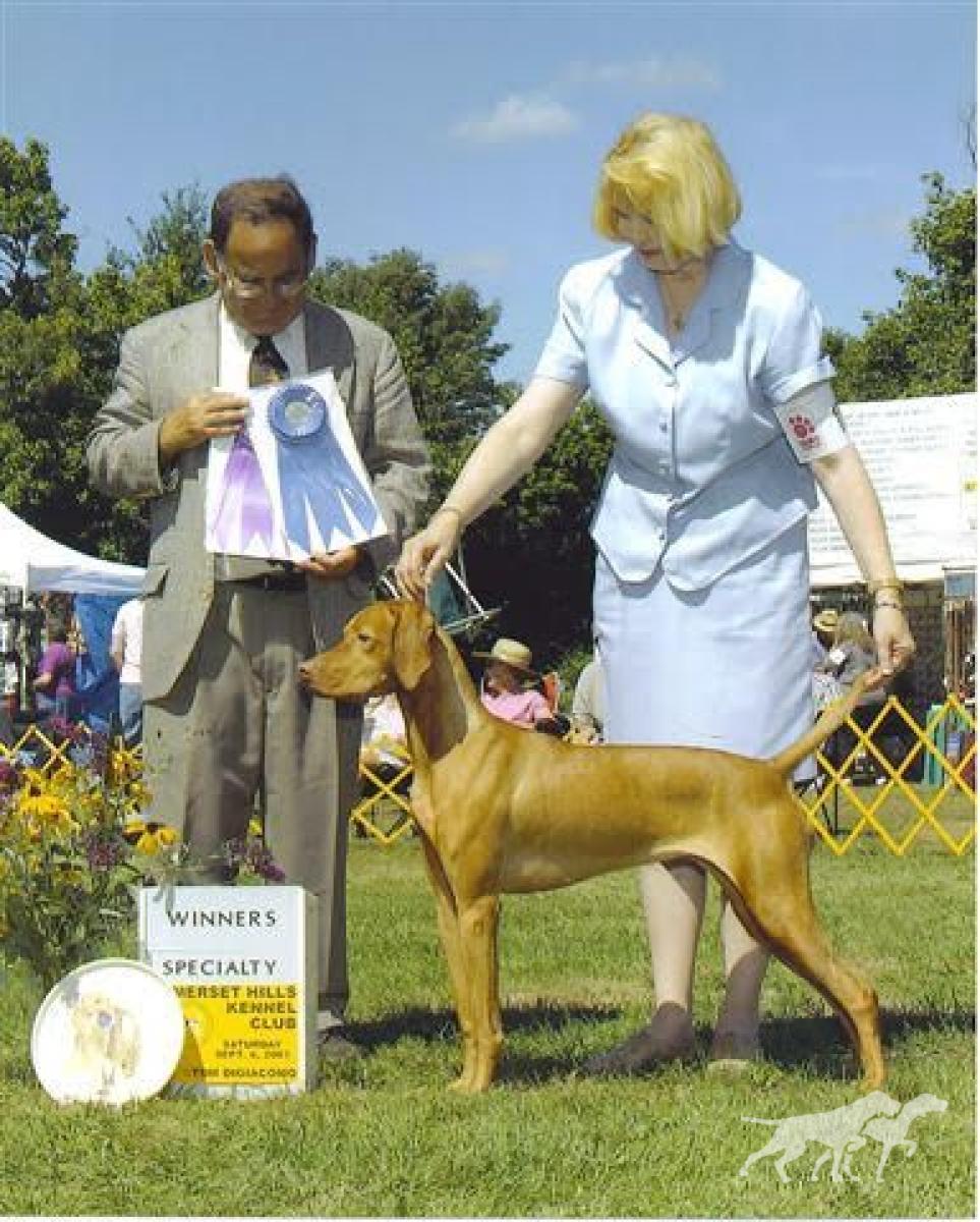 Scarlett Suns Solebury Penny