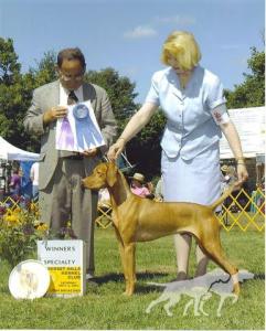 Scarlett Suns Solebury Penny