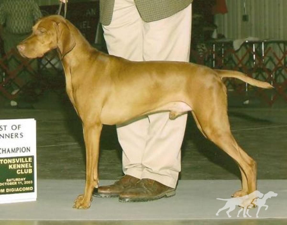Legacy's Winsome Runner