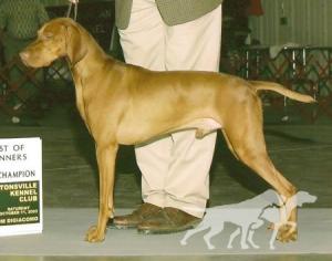 Legacy's Winsome Runner