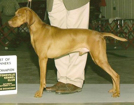 Legacy's Winsome Runner