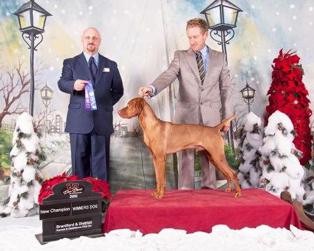 Comynara Red Ryder Dog Cafe