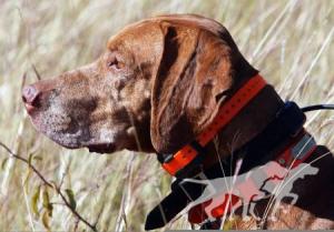 Fieldstone's Remington Ammo