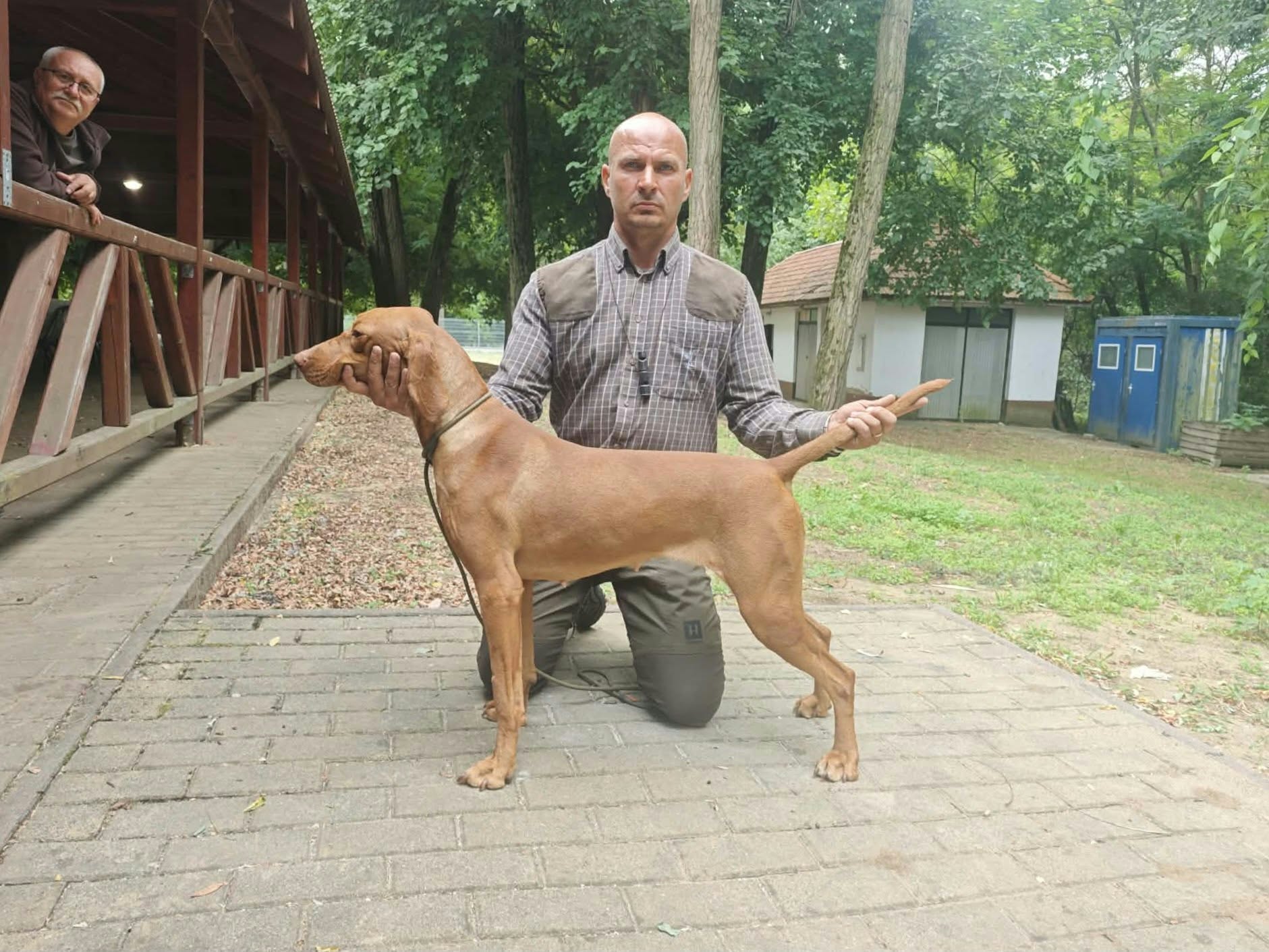 Magasparti Rutinos Gigi