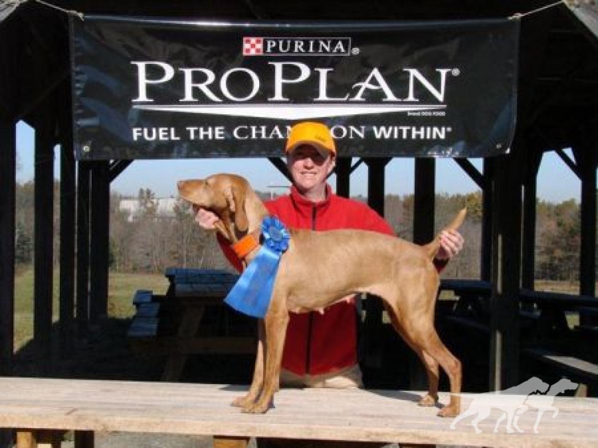 Widdershins Flyin Kyler