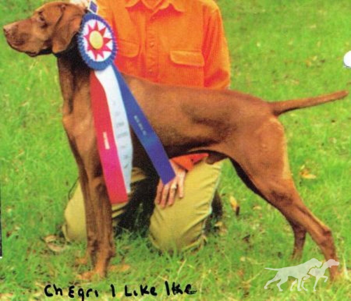 Egri I Like Ike