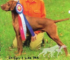 Egri I Like Ike