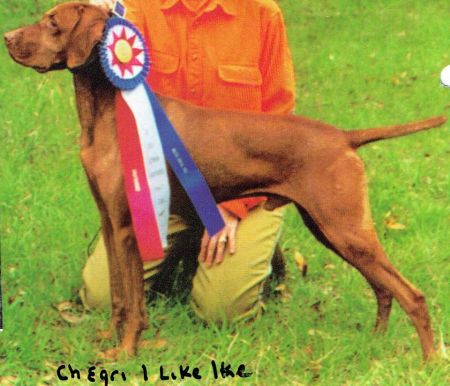 Egri I Like Ike