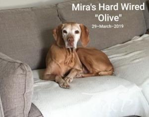 Mira's Hard Wired