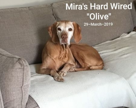 Mira's Hard Wired