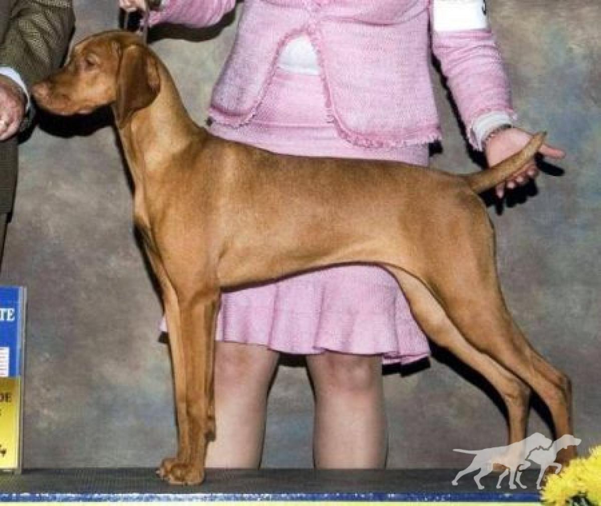 Bankers Sophisticated Lady