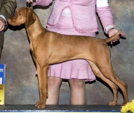 Bankers Sophisticated Lady