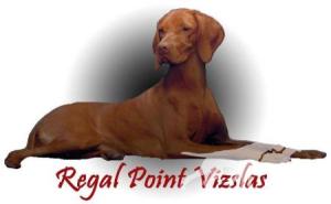 Poquito's Regalpoint Rubi Tiara