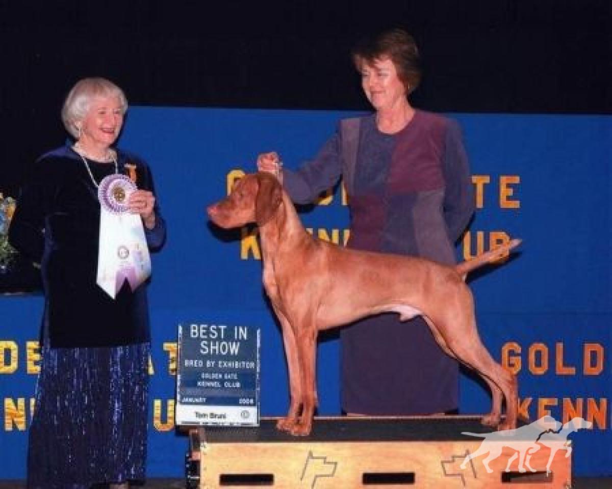 Sunstead's Etched In Gold Run