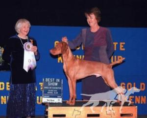 Sunstead's Etched In Gold Run