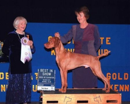 Sunstead's Etched In Gold Run