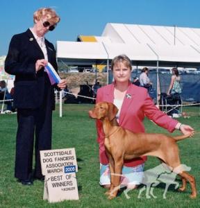 Opus One Diva Of Kyllburg