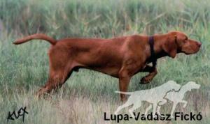 Luppa-Vadász Fickó