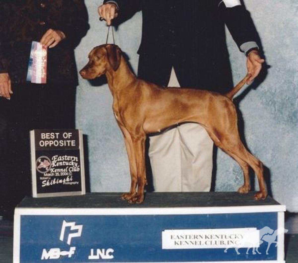 Heartsong Prairie Spirit