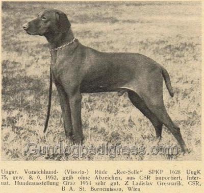 Rex Selle