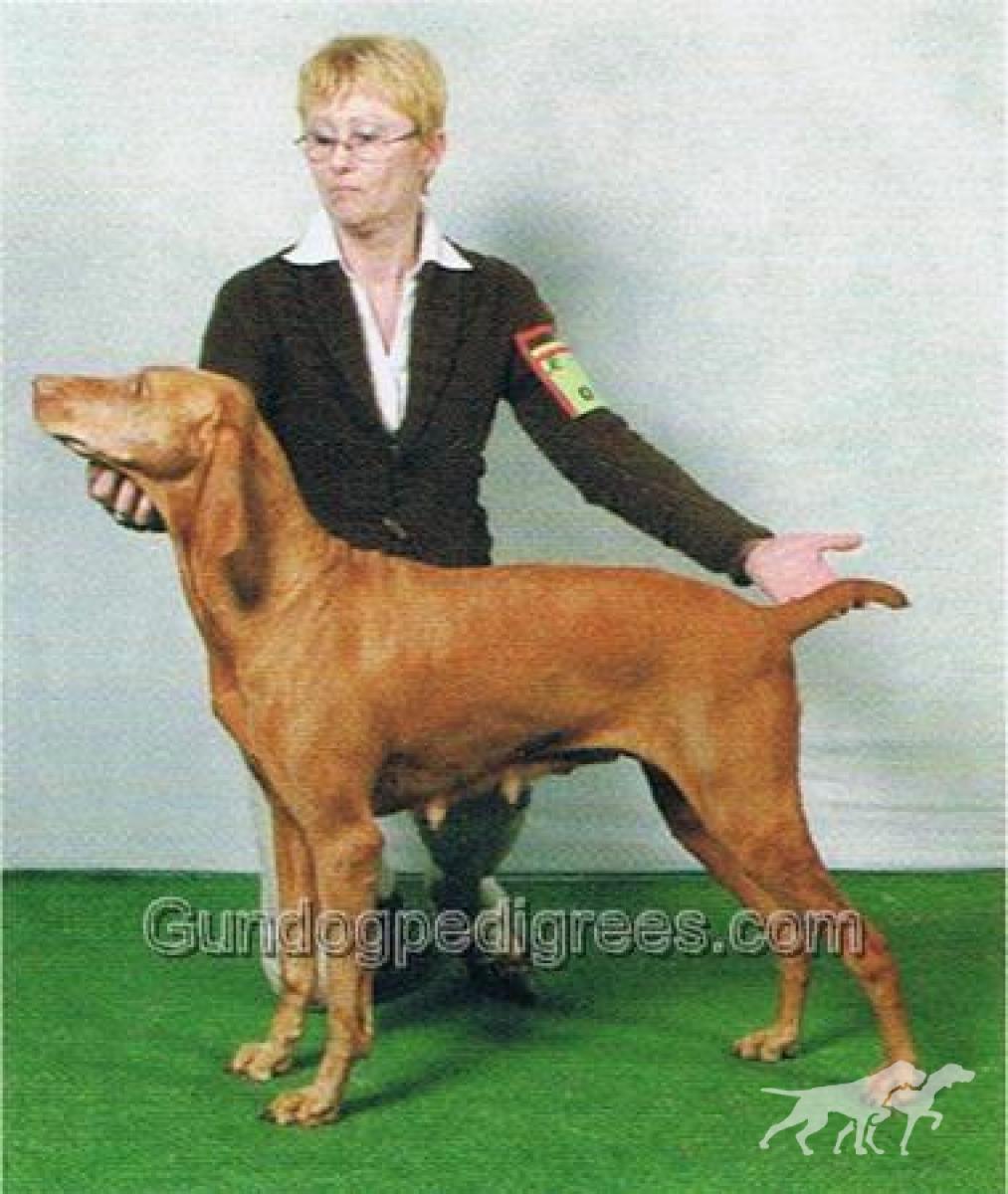 Scully du Champ Cleuet