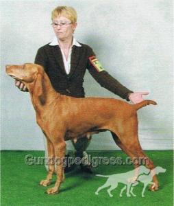 Scully du Champ Cleuet