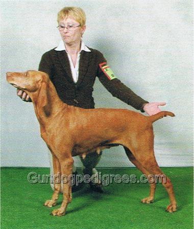 Scully du Champ Cleuet