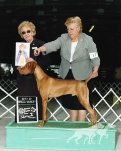 Jnek's Tuck Everlasting