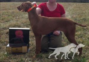 Broad Run's Blazn Vitesse
