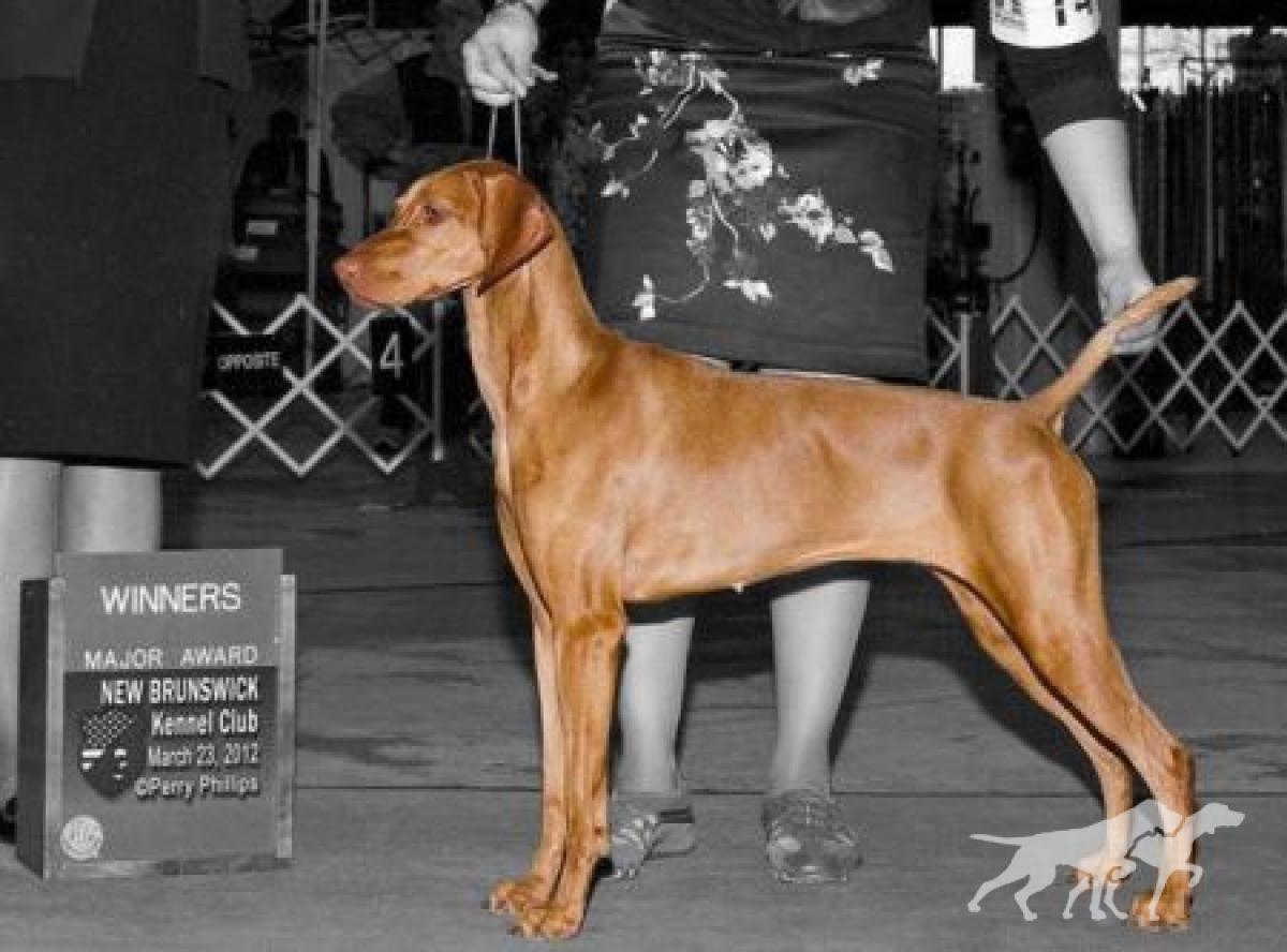 Broad Run's Ottilie Of Red Oak