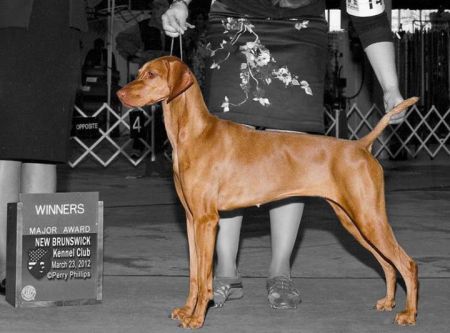 Broad Run's Ottilie Of Red Oak