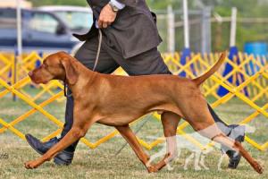 Cinnabar's Sasco Finale