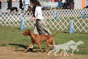 Jaybren's Make 'Em Tuck'n'run To Tierah