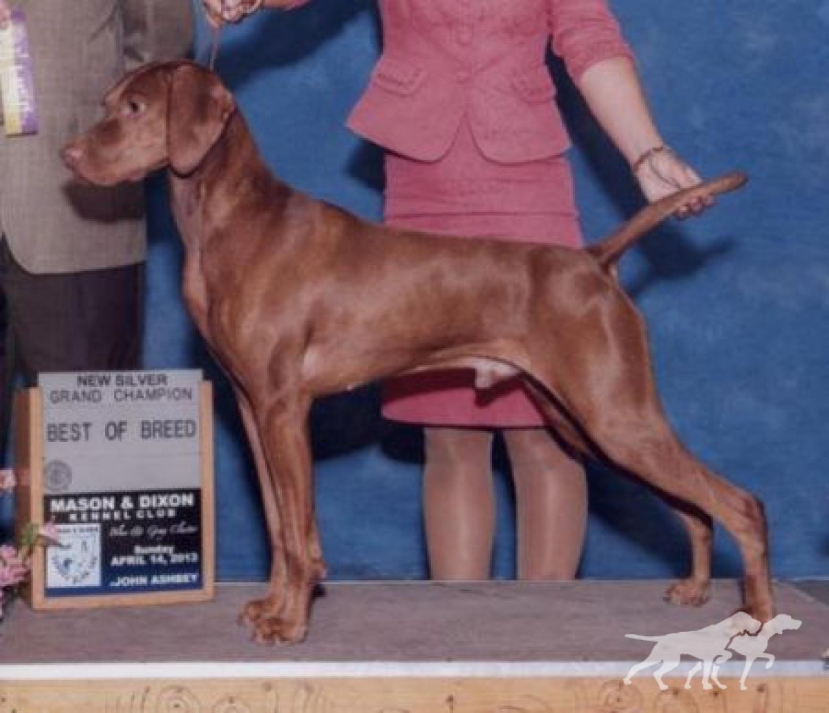 Auburn's Murphy Seamus O'Grady