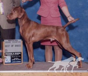 Auburn's Murphy Seamus O'Grady
