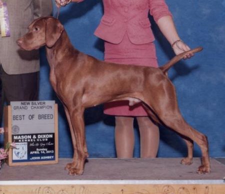 Auburn's Murphy Seamus O'Grady